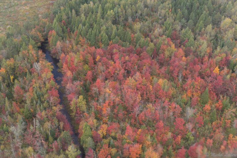 Photo of autumn colours near Turtle Lake